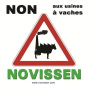 vachusine_non